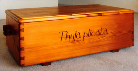 Example of carcase construction in wood